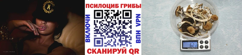Галлюциногенные грибы Magic Shrooms  даркнет сайт  Гдов 